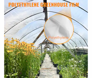 lot 21446 image: VEVOR - Greenhouse Film 20 x 100 ft, Greenhouse Polyethylene Film 6 Mil Thickness, Greenhouse Plastic Clear Plastic Film - Transparent - Retail $145