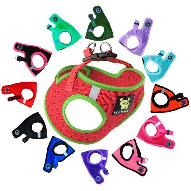 lot 72929 image: Step in Dog Harness Reflective Soft Ultra Padded Mesh Dog Harnesses for XXS, XS, Small, and Medium Dogs Eco-Friendly Comfort Secure Halter No Pull Adjustable Pet Vest - Retail $30