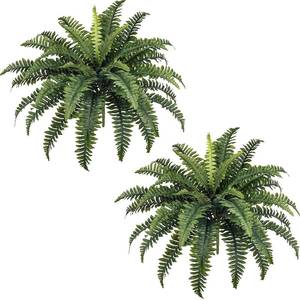 lot 8876 image: FOREST PRINCE 35 Artificial Ferns, 2 Boston Ferns, 39 Fronds