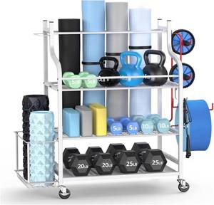 lot 8929 image: $378 Home Gym Weight Rack Dumbbells, Kettlebells & Mat (White)