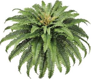 lot 9023 image: Artificial Ferns for Outdoors, 45 Boston Fern, 63 Fronds, Planter
