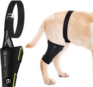 lot 2818 image: BaoGuai Dog Knee Brace Pro ACL Luxating Patellar Pain Relief - Retail $23