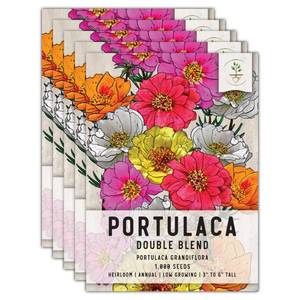 lot 3014 image: Seed Needs Moss Rose Seeds for Planting Portulaca Grandiflora 5 Packs - Retail $8