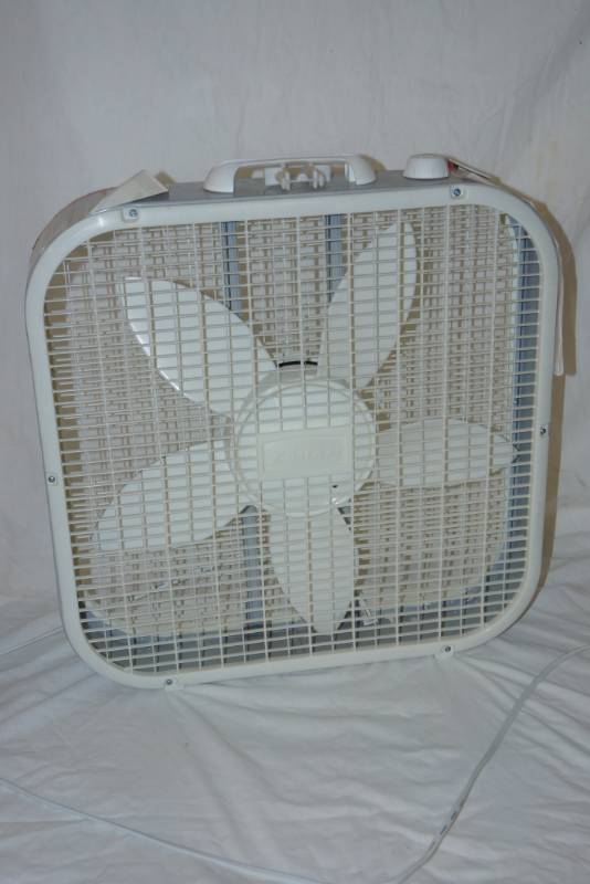 lot 234 image: Box Fan- Tested and Appears New-ish