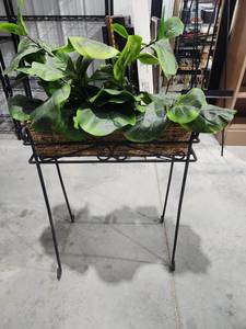 lot 2664 image: Plant Stand with Woven Basket Planter and Metal Frame