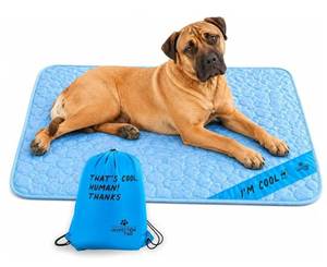 lot 5325 image: INSPECTOR TAIL Dog Cooling Mat, Indoor & Outdoor, XXL Self Cooling PadNo Freeze Needed, Breathable, Washable, Portable Cooling Mat for Dogs with Travel Bag, Fits Car, Crate, Floor & Bed, 59x 39 - Retail $33
