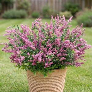 lot 5342 image: Zeyune 12 Pcs Fall Faux Dusty Plum Berry Stem for Outdoor Artificial Purple Sedum Berry Pick 14 Inch Fake Realistic Flower Branches Decor for DIY Farmhouse Garden Patio Yard Wedding Home Arrangement - Retail $23