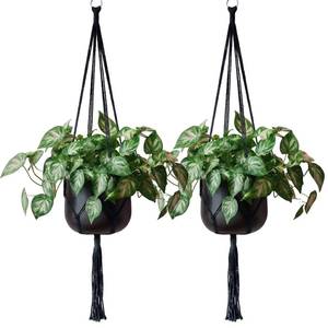 lot 19390 image: EBOOT 2 Pack 48 Inch Large Macrame Plant Hanger Rope to Hang Flower Pot Plant Holder for Indoor Outdoor Decorations, 4 Legs (Black) - Retail $9