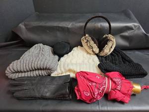 lot 207 image: Gloves, Hats, Ear Muffs, and Umbrella