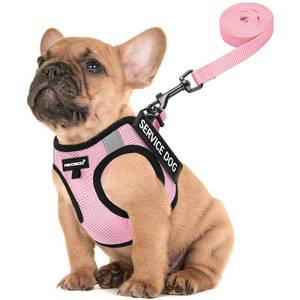 lot 73102 image: Service Dog Vest for Small Breed - Lightweight Dog Harness with 6PCS Removable Patches - Puppy Harness and Leash Set for Walking,Training, xs - Retail $79