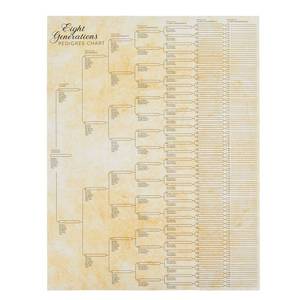 lot 73190 image: Outpost Family Tree Charts to Fill in - 8 Generation Genealogy Charts with 255 Name Spaces - Blank Family Tree Posters on Poster Paper for Framing - Pack of 15, 17 x 22 In, Off-White - Retail $13