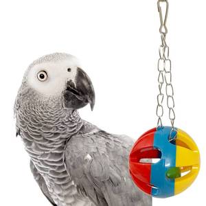 lot 73210 image: Parrot Ball Toy with Bell, Cage Hanging Accessories for Medium to Large Birds, Interactive Toys for Birds, Cat Ball Toy (Globe, Set of 1) - Retail $9