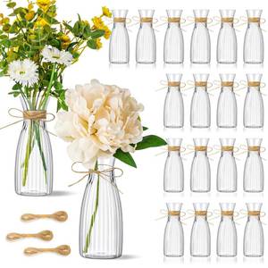 lot 63892 image: 30 Pcs Plastic Flower Bud Vases Bulk with Twines Ropes Small Mini Flower Vases for Centerpieces Decorative Plastic Bottles for Wedding Reception Dining Table Home Decoration (Transparent) - Retail $40