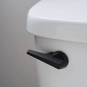 lot 17832 image: Toilet Handle Replacement Front Mount �� Metal Flush Lever with Solid Brass Arm �� Compatible with Kohler, American Standard, TOTO, Glacier Bay & Most Standard Toilets �� Matte Black - Retail $10