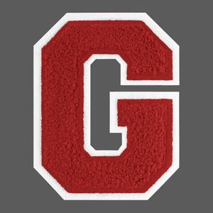 lot 18053 image: 6 Inch Red Iron On Letters Varsity Letter Patches Large Chenille Iron On Letters for Clothing Jersey T-Shirt Jacket Hoodie Varsity G - Retail $7
