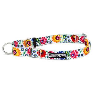 lot 38515 image: Lucky Love Dog Martingale Dog Collar - Adjustable, No-Slip, Durable, & Soft Webbing Collar for Male and Female Dogs Ideal for Training & Walking - Ladybird, Medium - Retail $20