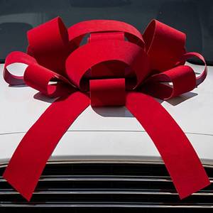 lot 201549 image: Giant Red Velvet 30 inch Magnetic Car Bow