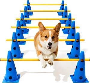 lot 401511 image: Dog Agility Course Backyard Set, Dog Agility Hurdle Cone Set with Height Adjustable Crossbar for Rehabilitation & Beginners, Dog Agility Equipment for Dog Obstacle Course - 12 Inch