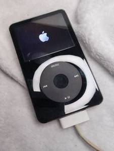 lot 2010 image: Apple iPod 30GB with USB Cable, Power Adapter, Earbuds, and Cleaning Cloth