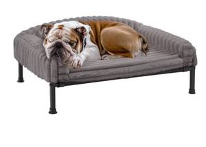 lot 6268 image: Veehoo Elevated Dog Bed with Bolster Cushion, Fluffy Plush Dog Couch Beds for Small Dogs, Cats, Washable Raised Pet Cot with Non-Slip Feet for Indoor or Patios Use, 36 x 28 Inches, Grey