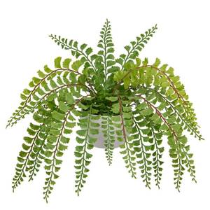 lot 6623 image: Hollyone Artificial Fern Potted Plant for Outdoors Indoors Lifelike Faux Boston Fern Artificial Plants in White Pot for Garden Patio Home Farmhouse Windowsill Office Decoration