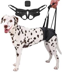 lot 7528 image: AOOLMOL Dog Sling for Medium Large Dog Rear Leg, Lift Harness Provide Support with Muscle Atrophy and Joint Problems for Elderly Injured Arthritic Pet, Dog Weak Rear Legs Provides Rehabilitation Aid