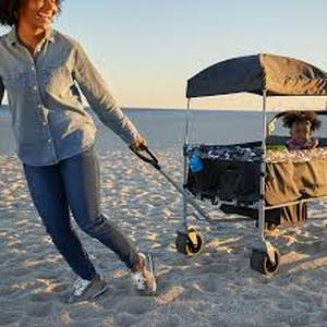 Safety 1st Summit Sprint Quad Wagon Stroller