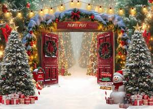 lot 10056 image: CHAIYA 7X5FT Christmas Backdrop Christmas North Pole Backdrop Winter Wonderland Photography Background Christmas Party Decoration Holiday Family Photo Booth