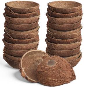 lot 20066 image: LemonRoad 24 Pcs Natural Coconut Shell Bowl Halves About 25 The Size of a Coconut Smooth Bottom for Easy Standing Craft Material Flower Pot Aromatherapy Arrangement Ornament(Hairy)