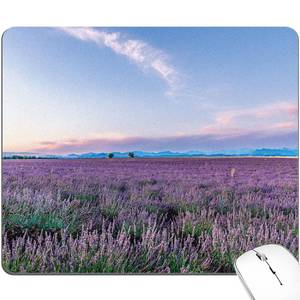 lot 20481 image: BOONEST Purple Lavender Mouse Pad Flower Floral Pretty Aesthetic Mousepad Cute Blue Sky Small Desktop Desk Mat Girl Women Office Portable Accessory Computer Laptop Wireless Travel Work Gaming Washable