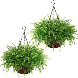 lot 5211 image: Waipfaru Fake Hanging Fern Plants Outdoor - 2 Pack UV Resistant Artificial Outdoor Hanging Plants, Realistic Faux Greenery Fern for Patio Front Porch Garden Home Decor