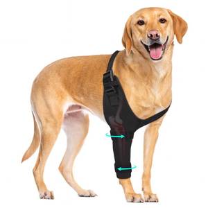 lot 6290 image: Dog Elbow Protector Brace, Dog Leg Sleeves Anti-Licking for Arthritis, Hygroma, Pressure Sores, and Calluses, Dogs Elbows Pads & Shoulder Brace for Elbow Dysplasia and Injury Recovery, Right 4XL