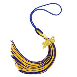 lot 10153 image: 2026 Blue Gold Gradution Tassel with Golden Charm for Graduation Cap Hat Gown Headband Decorations Senior Class of 2026 Congrats Grad Party Favors Supplies Ceremonies Memorial Graduations Decor