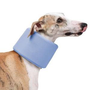 lot 12022 image: Dog Neck Brace for Pet After Surgery Recovery Adjustable Breathable Neck Cervical Cone��Dog Cone Collar Recovery Head Cone for Small Medium Dogs Puppies Kittens with Spinal IVDD Lssues