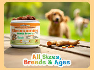 lot 10252 image: Makondo Pets Glucosamine Hemp Treats 120 Chicken Flavor Soft Chews