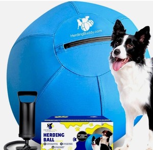 lot 11314 image: Outdoggy 18 inch Dog Herding Ball Blue (Used)