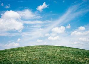 lot 14177 image: Fmarui Natural Backdrop White Clouds and Blue Sky Photography Backgrounds Green Grassland Backdrop for Photoshoot Props, 8X6FT