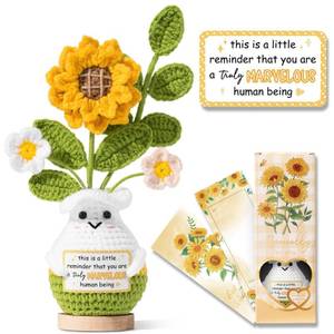 lot 20414 image: Emotional Support Crochet Positive Sunflower Inspirational Gifts for Women, Thank You Birthday Mothers Day Teacher Appreciation Gifts for Coworker Employee Nurse Mom Friend, This is A Little Reminder