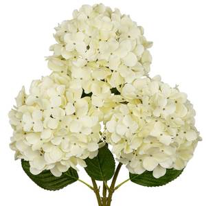 lot 20416 image: Fake Hydrangeas Cream Tall Artificial Hydrangea Stems 26 Faux Hydrangea Silk Flowers Fake Hydrangea Resuable for Party,Home,Office Decor, Artificial Flower Perfect for Wedding Decor Gift 3PCS
