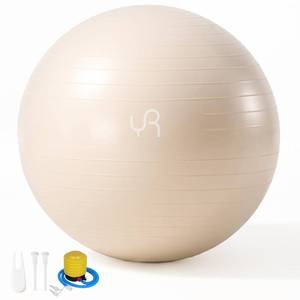 lot 1920 image: YR Exercise Ball 29.5 Large Yoga Ball for Workout Pregnancy Stability