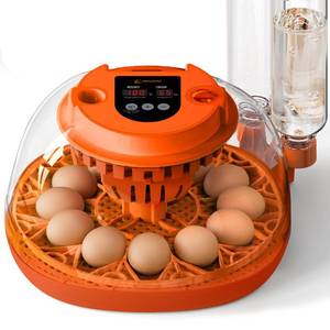 lot 1998 image: 12 Egg Incubator with Automatic Turning & Humidity Control, Fully Automatic Incubators with Egg Candler, STEMSTEAM Educational kit, for Hatching Chicken, Duck, Quail, Pigeon, Home, Classroom Use