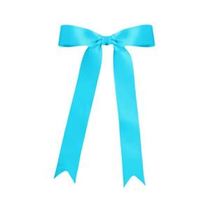 lot 2377 image: Meseey 30 Pcs 5x7 Inch Turquoise Blue Grosgrain Ribbon Bows with Twist Ties, Pre-Tied Large Decorative Bows for Gift Wrapping, Wedding, Birthday, Graduation, Holiday, Party Decor & DIY Crafts