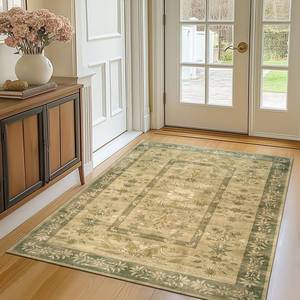 lot 3099 image: jinchan Area Rug 4x6 Washable Rug, Vintage Floral Living Room Carpet Non Slip Home Decor Rugs, Low-Pile Mat for Bathroom Entrance Bedroom Office Farmhouse and Dining Table (Brown Green)