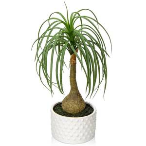 lot 5335 image: Hollyone Fake Plants Artificial Potted Plants Artificial Ponytail Palm Plant in Pots Faux Bonsai Plants for Office Table Desk Shelf Bathroom Bedroom Greenery Decoration Room Indoor Home Decor