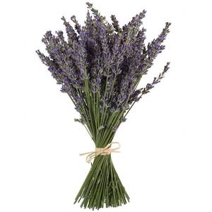 lot 14291 image: TooGet Natural Lavender Bundles, Freshly Harvested 200 Stems Dried Lavender Bunch 16 - 18 Long, Decorative Flowers Bouquet for Home Decor, Crafts, Gift, Wedding or Any Occasion