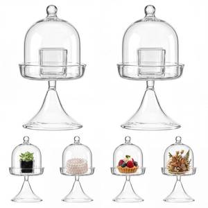 lot 19514 image: Gandeer 6 Pack Mini Glass Cloche with Base Bell Jar Dome & Acrylic Cube Planter 2.7 x 2.7 x 5 Clear Glass Terrarium for Succulents Moss Cakes Miniature Dioramas Specimens Jewelry Rings Display