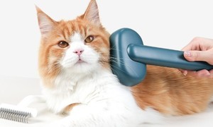 lot 6394 image: Aumuca Skin Friendly Self-Cleaning Slicker Brush for Dogs & Cats, Gentle Pet Grooming Tool for Shedding & Deshedding, Efficient Hair Remover for Long & Short Haired Pets used