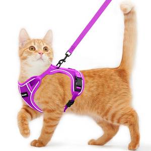 lot 2013 image: Cat Harness and Leash for Walking Escape Proof Soft Adjustable Cat Leash Breathable Comfortable Vest Easy to Wear Kitten Harness for Outdoor Travel (Purple, M (13-18lb))