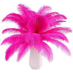 lot 2024 image: THARAHT Hot Pink Ostrich Feathers 24pcs Natural Bulk 8-10Inch 20cm-25cm for Crafts Wedding Party Centerpieces Easter Gatsbi and Home Decoration Feathers