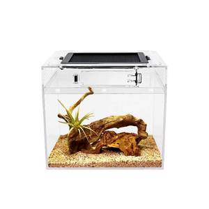lot 5417 image: Reptile Growth mini Reptile Terrarium,8 x 8x 8 Reptile Tank with Full View Visually Appealing��for Insect��Fish��Tarantula��Hermit Crab��Jumping Spider��Iguana��Tortoise��Leopard Gecko��Frog��Bearded Dragon
